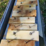 Waconia Stainless Steel Drag Conveyor